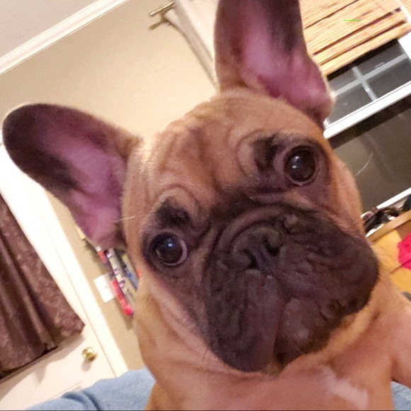 Meet your Posher, Arthur - Picture 1 of 1